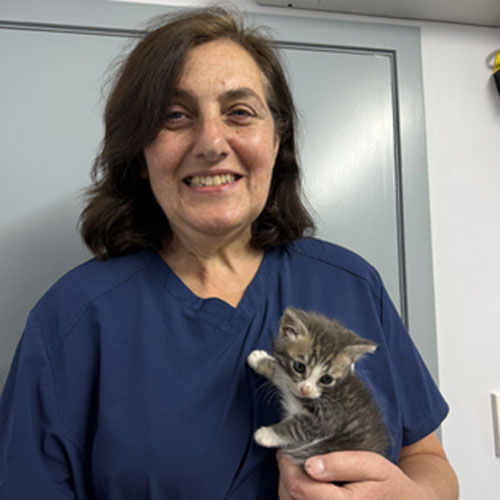 Dr Melissa Alley